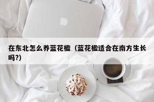 在东北怎么养蓝花楹（蓝花楹适合在南方生长吗?）