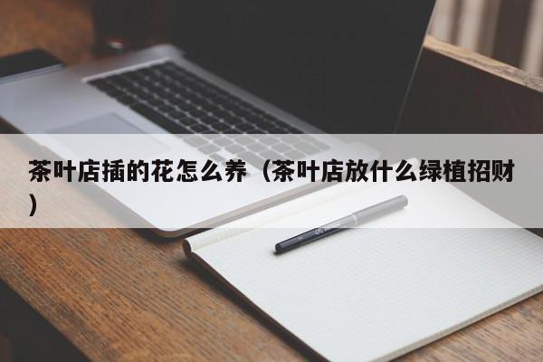 茶叶店插的花怎么养（茶叶店放什么绿植招财）