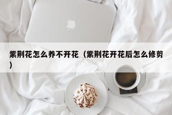 紫荆花怎么养不开花（紫荆花开花后怎么修剪）