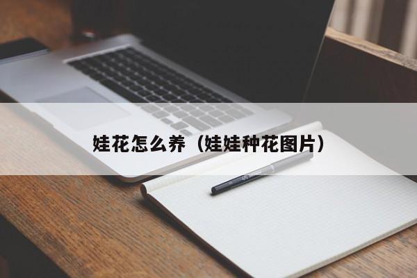 娃花怎么养（娃娃种花图片）