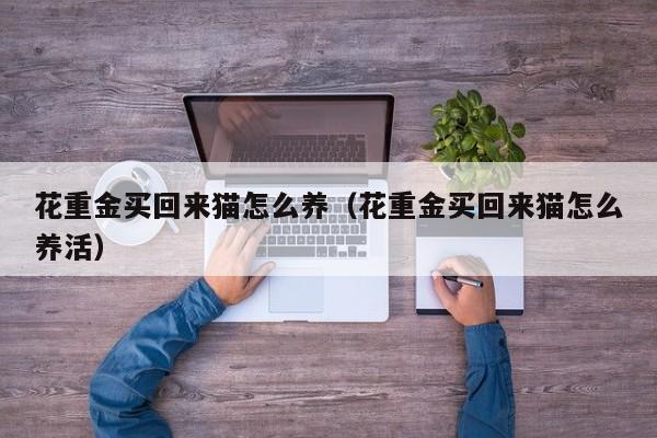 花重金买回来猫怎么养（花重金买回来猫怎么养活）