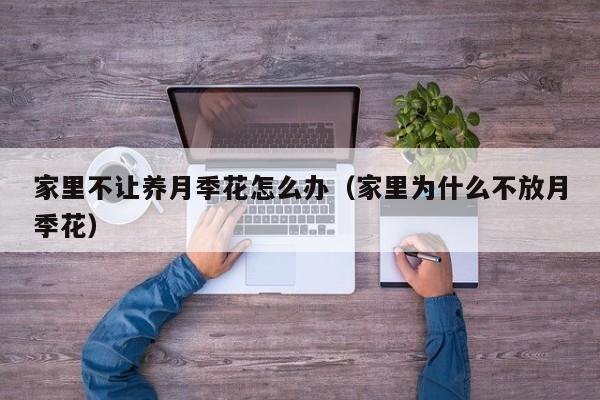 家里不让养月季花怎么办（家里为什么不放月季花）