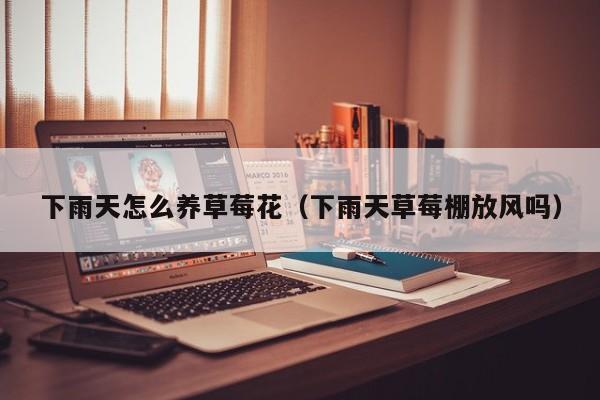下雨天怎么养草莓花（下雨天草莓棚放风吗）