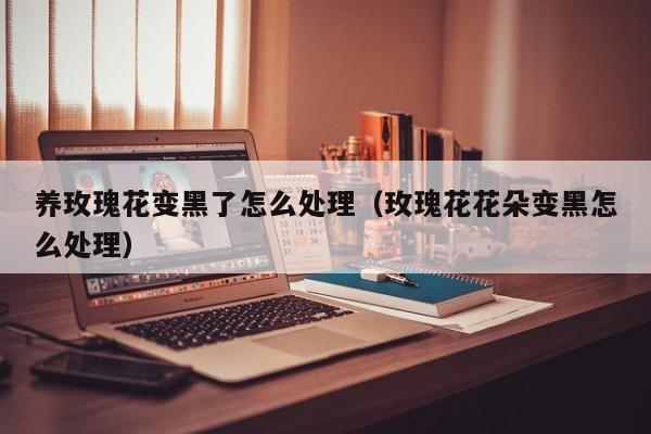 养玫瑰花变黑了怎么处理（玫瑰花花朵变黑怎么处理）