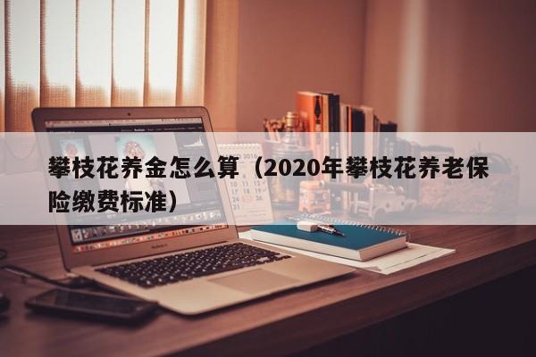 攀枝花养金怎么算（2020年攀枝花养老保险缴费标准）