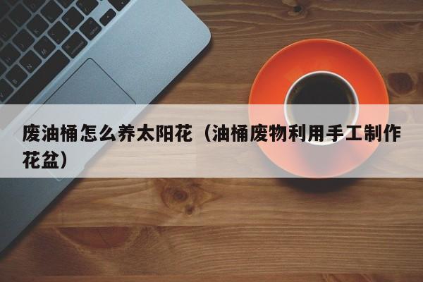 废油桶怎么养太阳花（油桶废物利用手工制作花盆）
