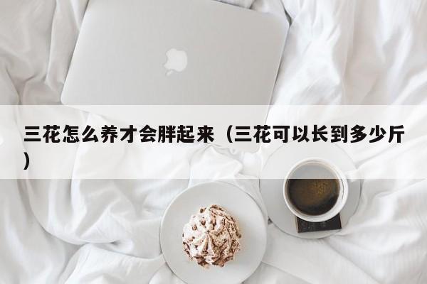 三花怎么养才会胖起来（三花可以长到多少斤）