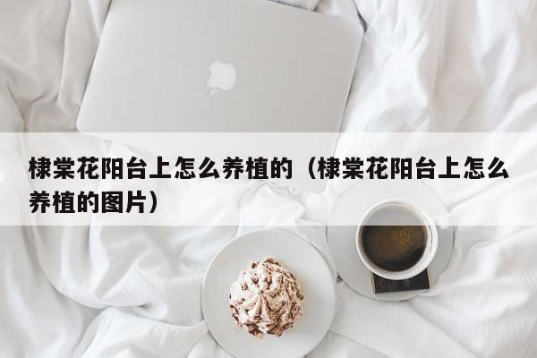 棣棠花阳台上怎么养植的（棣棠花阳台上怎么养植的图片）