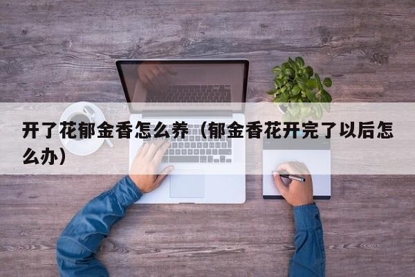 开了花郁金香怎么养（郁金香花开完了以后怎么办）