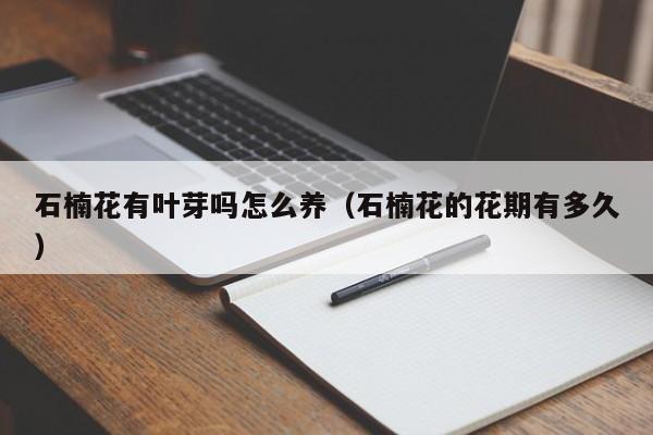 石楠花有叶芽吗怎么养（石楠花的花期有多久）