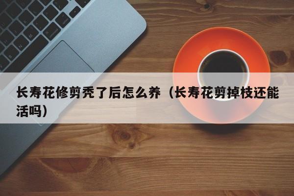 长寿花修剪秃了后怎么养（长寿花剪掉枝还能活吗）