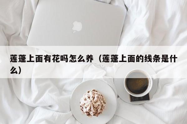 莲蓬上面有花吗怎么养（莲蓬上面的线条是什么）