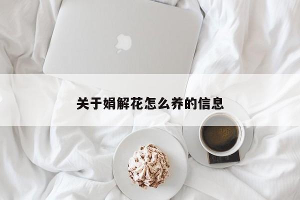关于娟解花怎么养的信息