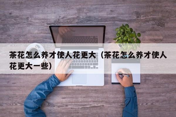 茶花怎么养才使人花更大（茶花怎么养才使人花更大一些）