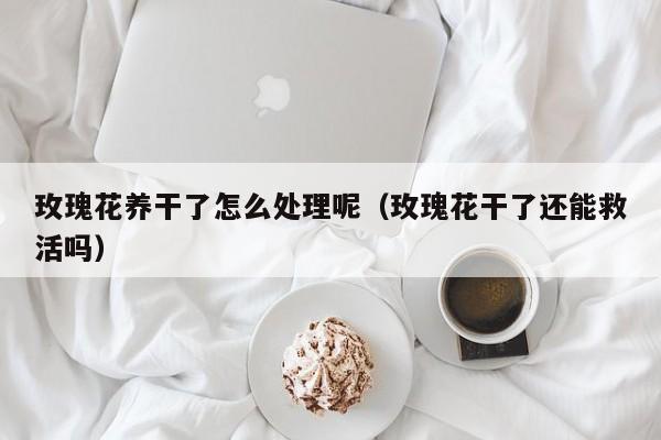 玫瑰花养干了怎么处理呢（玫瑰花干了还能救活吗）