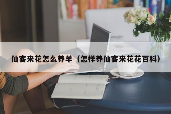 仙客来花怎么养羊（怎样养仙客来花花百科）
