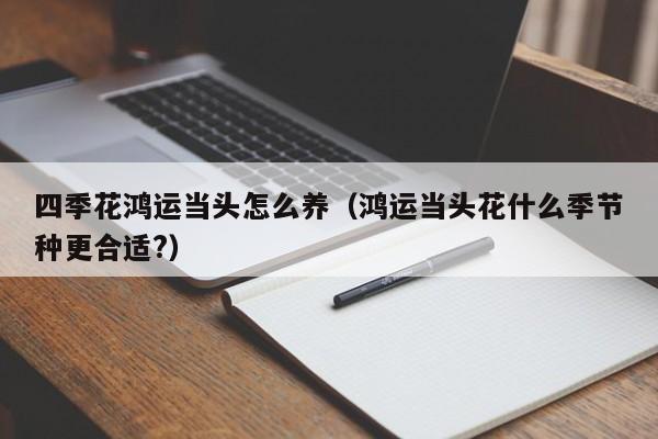 四季花鸿运当头怎么养（鸿运当头花什么季节种更合适?）