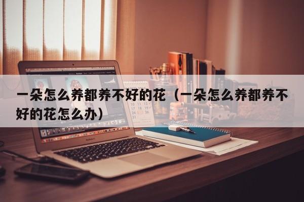一朵怎么养都养不好的花（一朵怎么养都养不好的花怎么办）