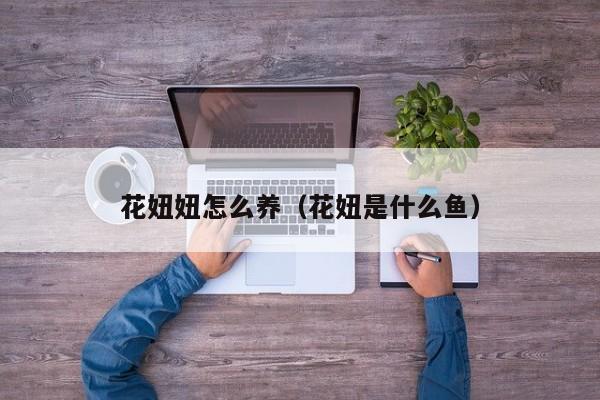 花妞妞怎么养（花妞是什么鱼）