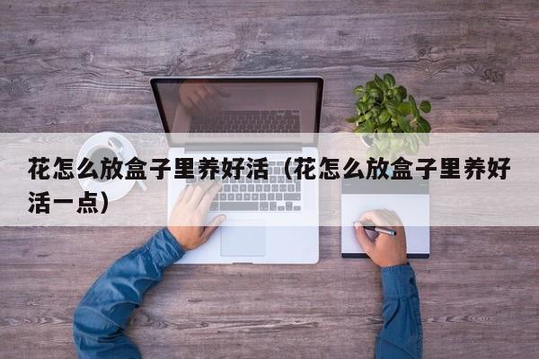 花怎么放盒子里养好活（花怎么放盒子里养好活一点）