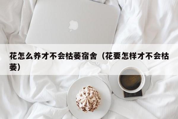 花怎么养才不会枯萎宿舍（花要怎样才不会枯萎）