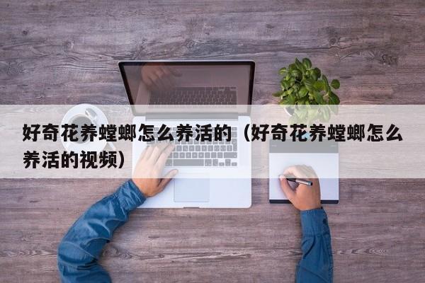 好奇花养螳螂怎么养活的（好奇花养螳螂怎么养活的视频）