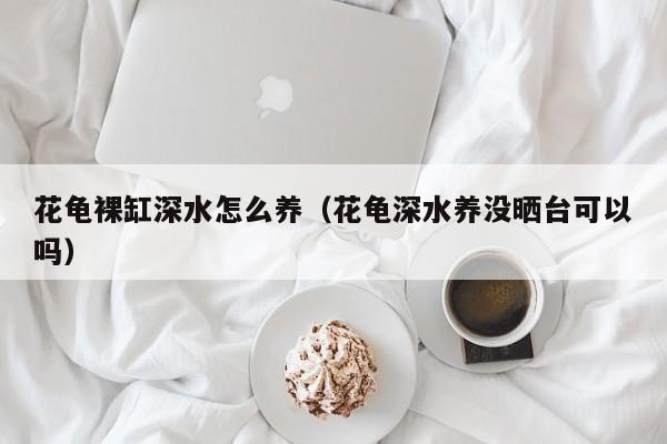 花龟裸缸深水怎么养（花龟深水养没晒台可以吗）