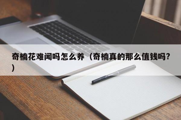 奇楠花难闻吗怎么养（奇楠真的那么值钱吗?）