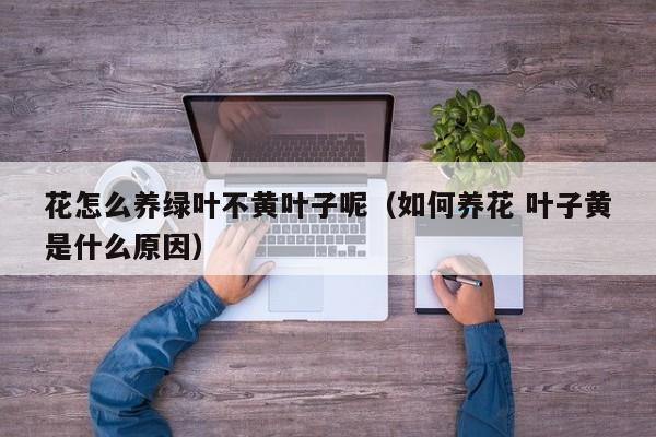 花怎么养绿叶不黄叶子呢（如何养花 叶子黄是什么原因）