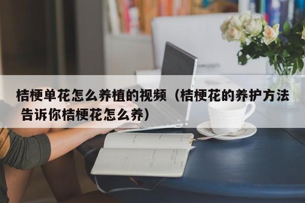 桔梗单花怎么养植的视频（桔梗花的养护方法 告诉你桔梗花怎么养）