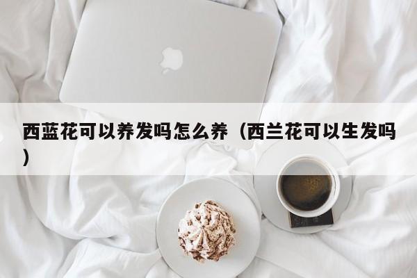 西蓝花可以养发吗怎么养（西兰花可以生发吗）