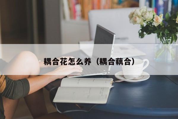 耦合花怎么养（耦合藕合）