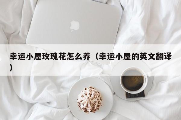 幸运小屋玫瑰花怎么养（幸运小屋的英文翻译）