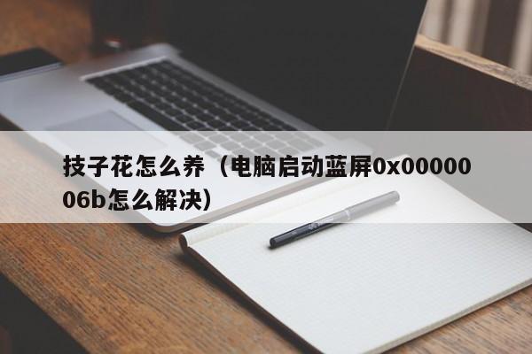 技子花怎么养（电脑启动蓝屏0x0000006b怎么解决）