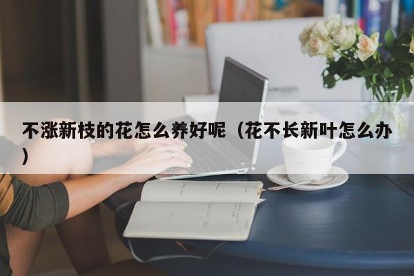 不涨新枝的花怎么养好呢（花不长新叶怎么办）