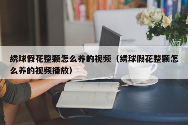 绣球假花整颗怎么养的视频（绣球假花整颗怎么养的视频播放）