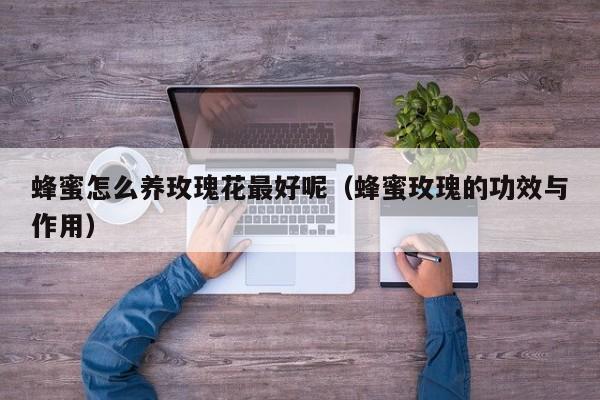 蜂蜜怎么养玫瑰花最好呢（蜂蜜玫瑰的功效与作用）