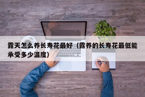 露天怎么养长寿花最好（露养的长寿花最低能承受多少温度）