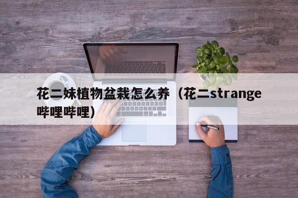 花二妹植物盆栽怎么养（花二strange哔哩哔哩）