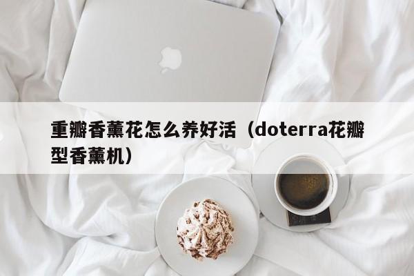 重瓣香薰花怎么养好活（doterra花瓣型香薰机）