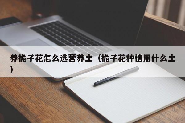 养桅子花怎么选营养土（桅子花种植用什么土）
