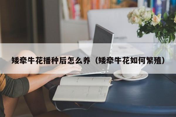 矮牵牛花播种后怎么养（矮牵牛花如何繁殖）