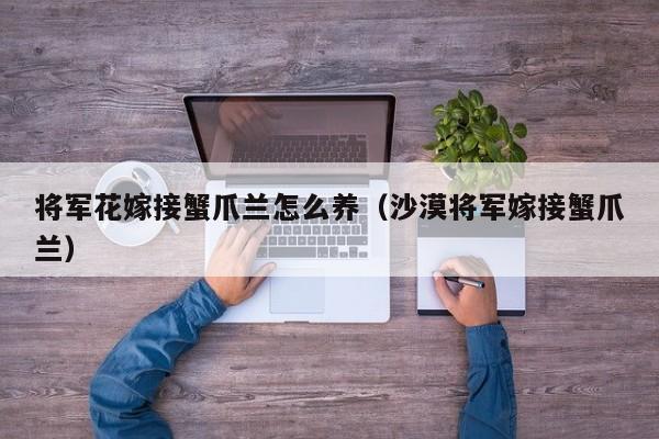 将军花嫁接蟹爪兰怎么养（沙漠将军嫁接蟹爪兰）