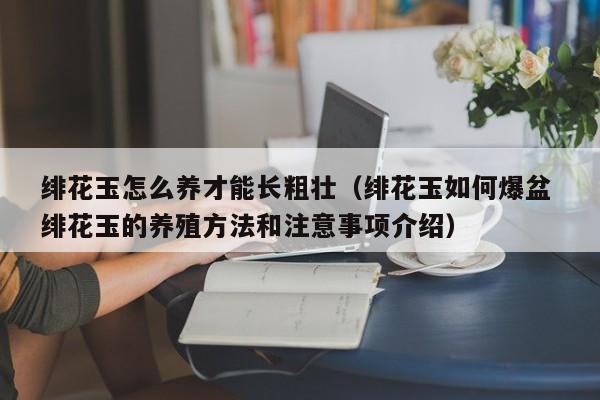 绯花玉怎么养才能长粗壮（绯花玉如何爆盆 绯花玉的养殖方法和注意事项介绍）