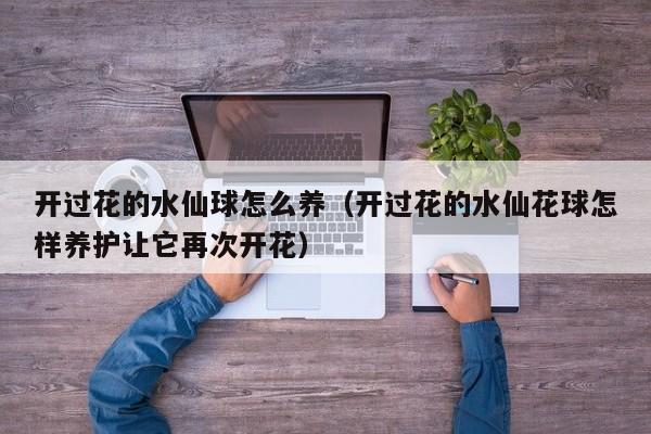 开过花的水仙球怎么养（开过花的水仙花球怎样养护让它再次开花）