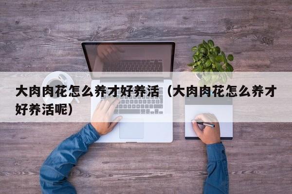 大肉肉花怎么养才好养活（大肉肉花怎么养才好养活呢）