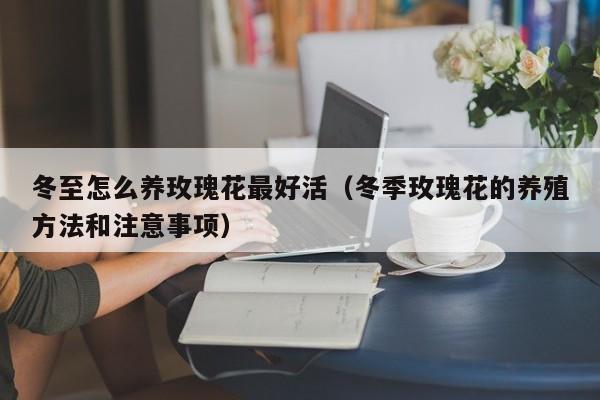 冬至怎么养玫瑰花最好活（冬季玫瑰花的养殖方法和注意事项）
