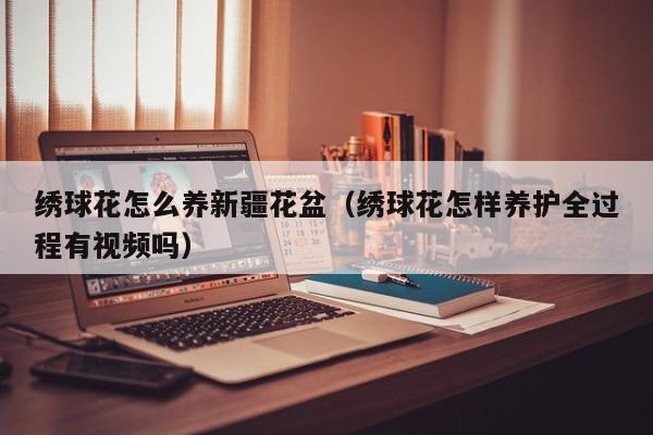 绣球花怎么养新疆花盆（绣球花怎样养护全过程有视频吗）