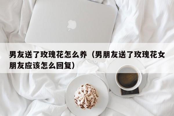 男友送了玫瑰花怎么养（男朋友送了玫瑰花女朋友应该怎么回复）