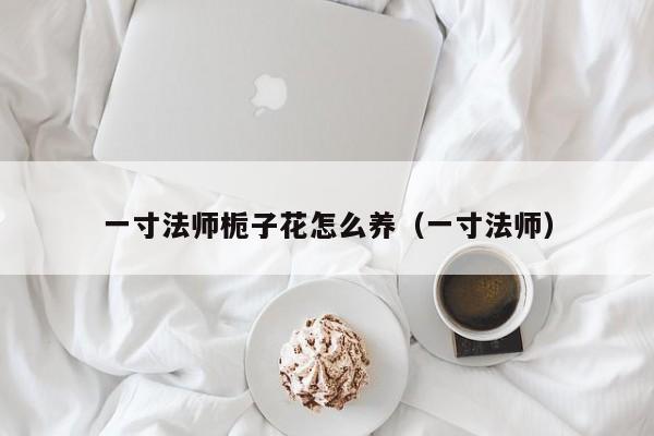 一寸法师栀子花怎么养（一寸法师）
